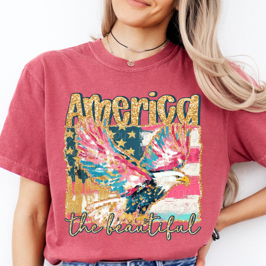America The Beautiful DTF